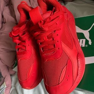 All red pumas